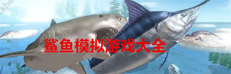 鲨鱼模拟游戏大全