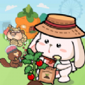罗布泊和朋友们完整版