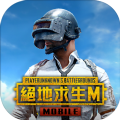 MaxFpsPUBGMobile