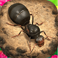 小小蚁国2023最新版