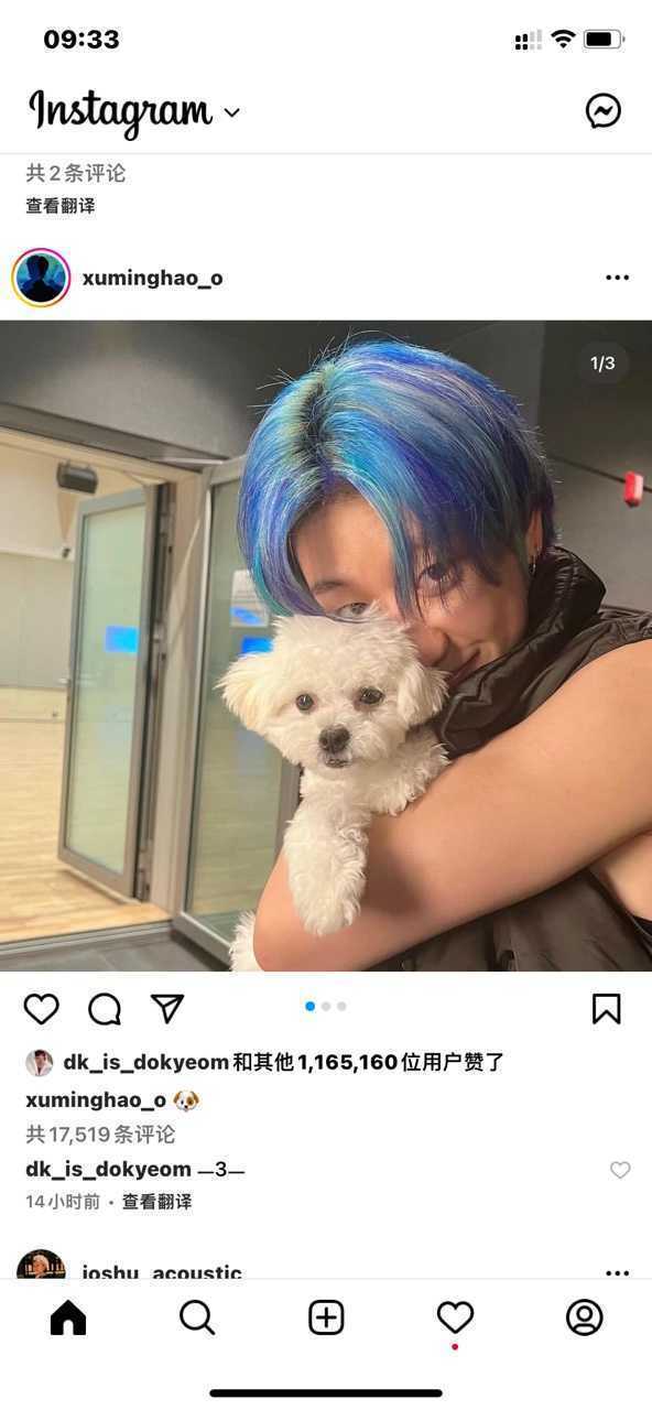 instagram中文版264.0.0.22.106