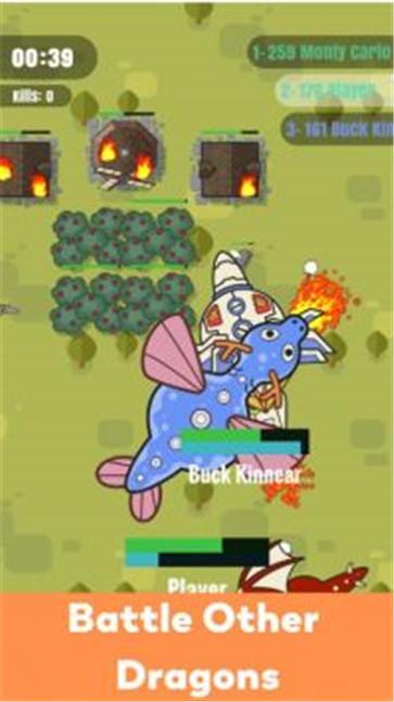 德拉克斯竞技场