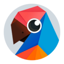 有道翻译官（官方版）