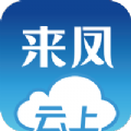 云上来凤
