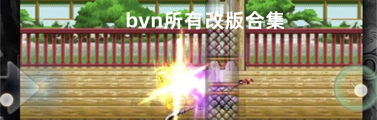 bvn所有改版合集