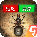 小小蚁国（九游版）