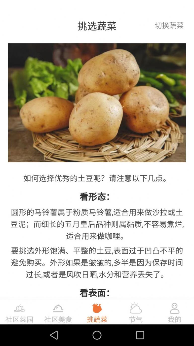 社区菜园子