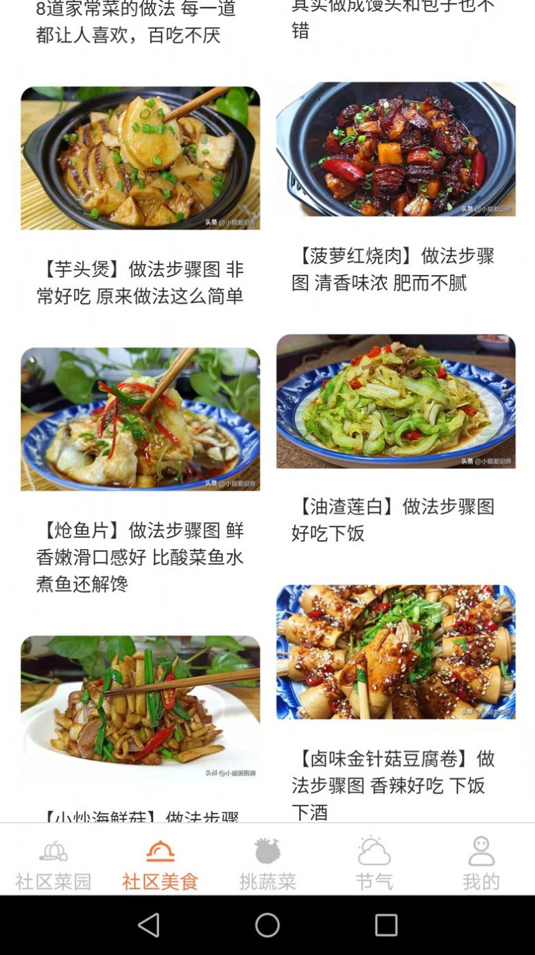 社区菜园子