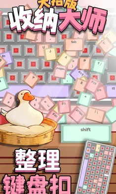 收纳大师