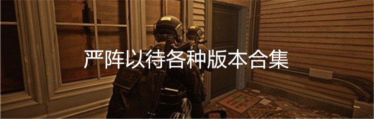 严阵以待各种版本合集