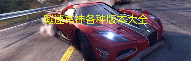 飚速车神各种版本大全