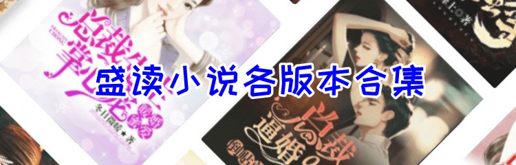 盛读小说各版本合集