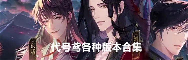 代号鸢各种版本合集