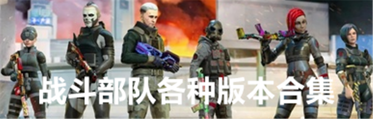 战斗部队各种版本合集