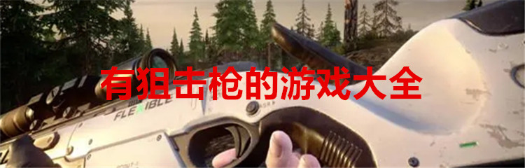 有狙击枪的游戏大全