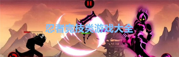 忍者竞技类游戏大全