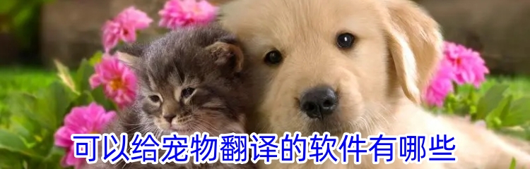 可以给宠物翻译的软件有哪些