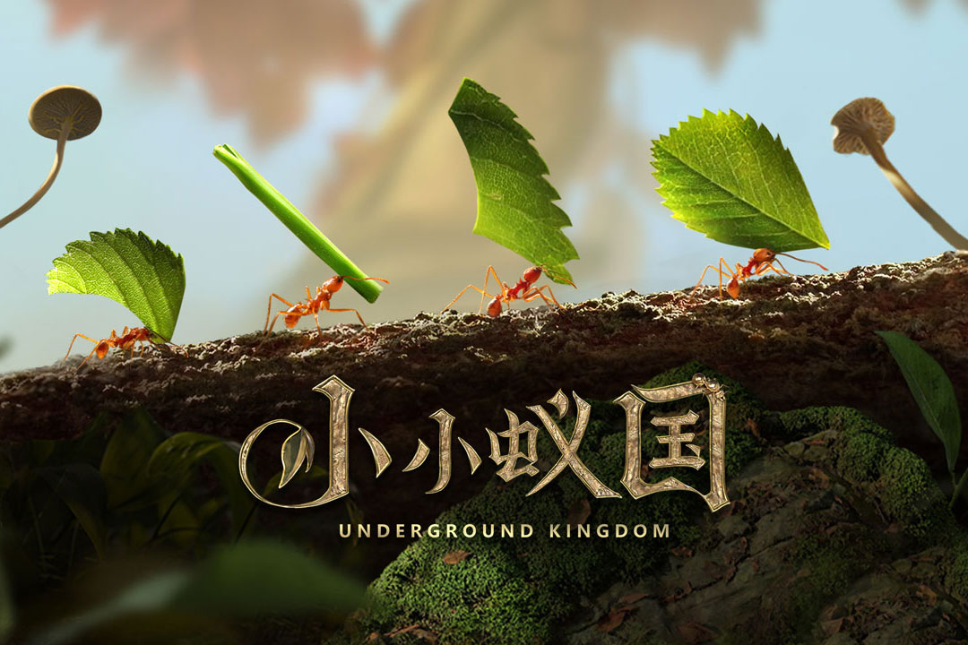 小小蚁国2023最新版