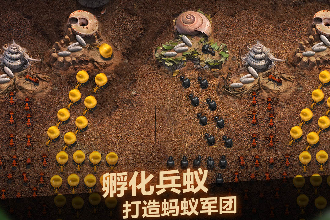 小小蚁国2023最新版