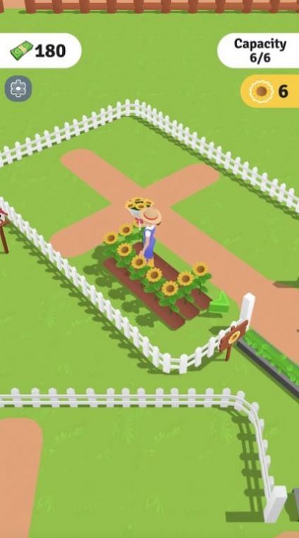 Idle flower store
