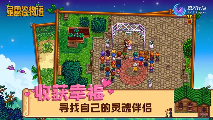 Stardew Valley