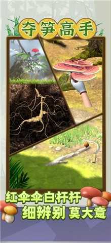 夺笋高手（免广告版）