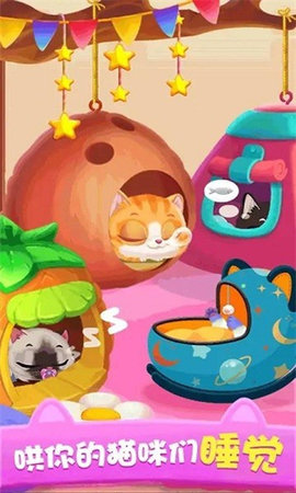 猫 咪公主