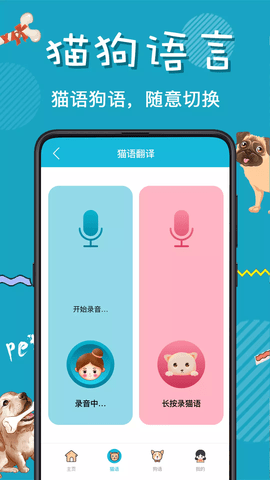 猫语交流翻译器