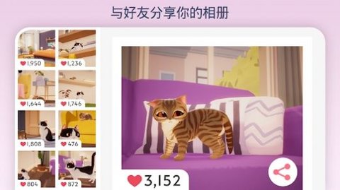 我的猫 咪俱乐部
