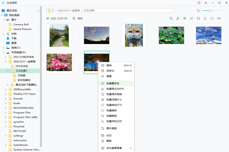 迅读看图官网版