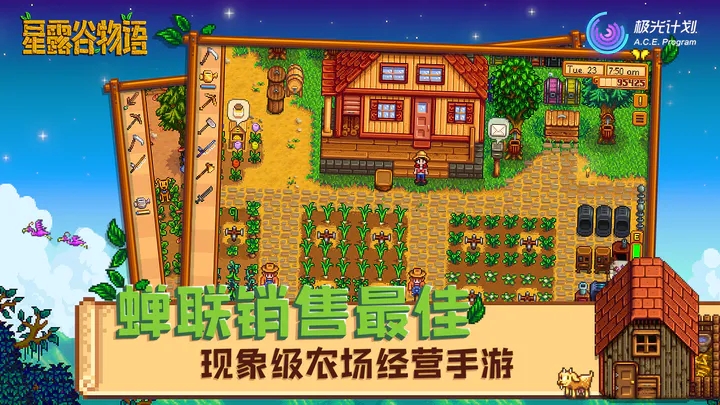 Stardew Valley（联机版）